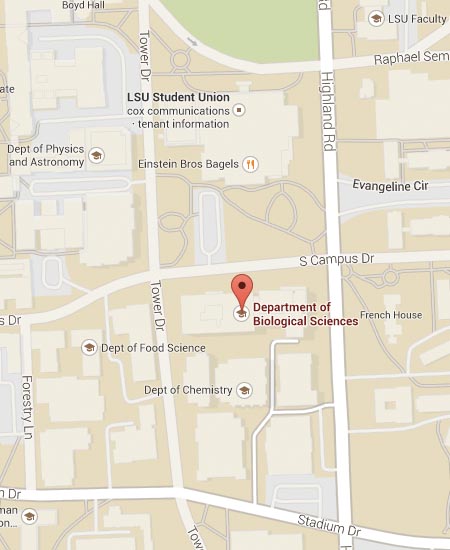 map of our lab at lsu